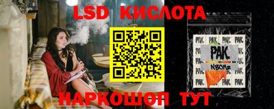 прущие грибы Кунгур