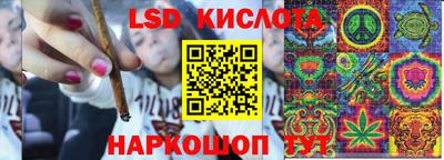 прущие грибы Кунгур
