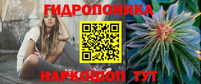прущие грибы Кунгур