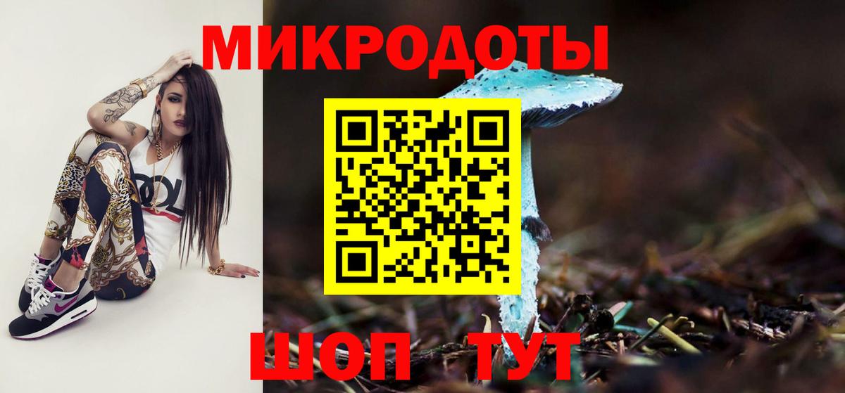 Псилоцибиновые грибы прущие грибы Губаха